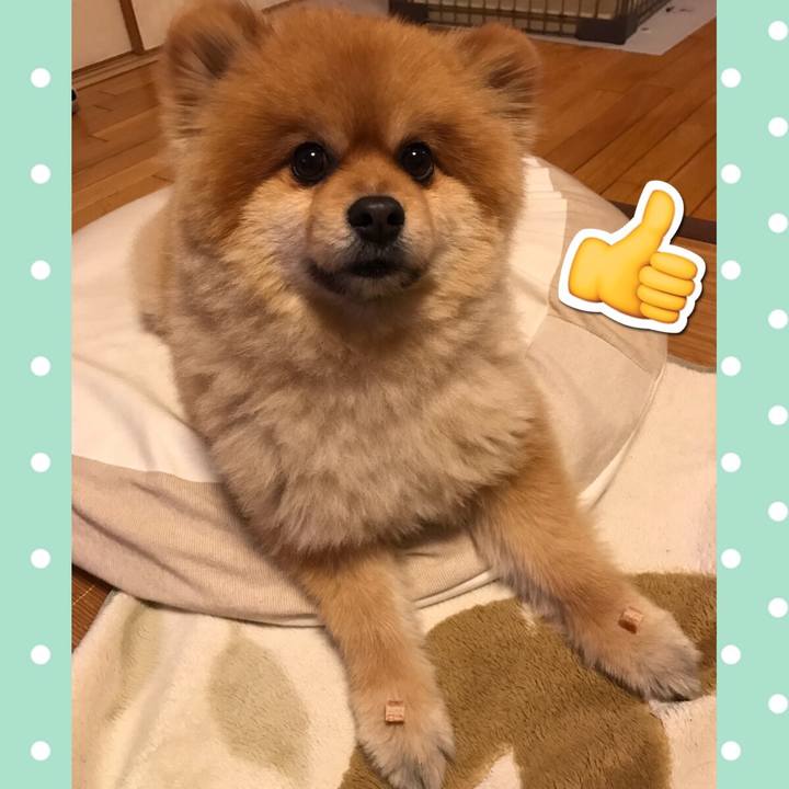 Ff9cad39 c8d0 4600 999c 36b7859b966e