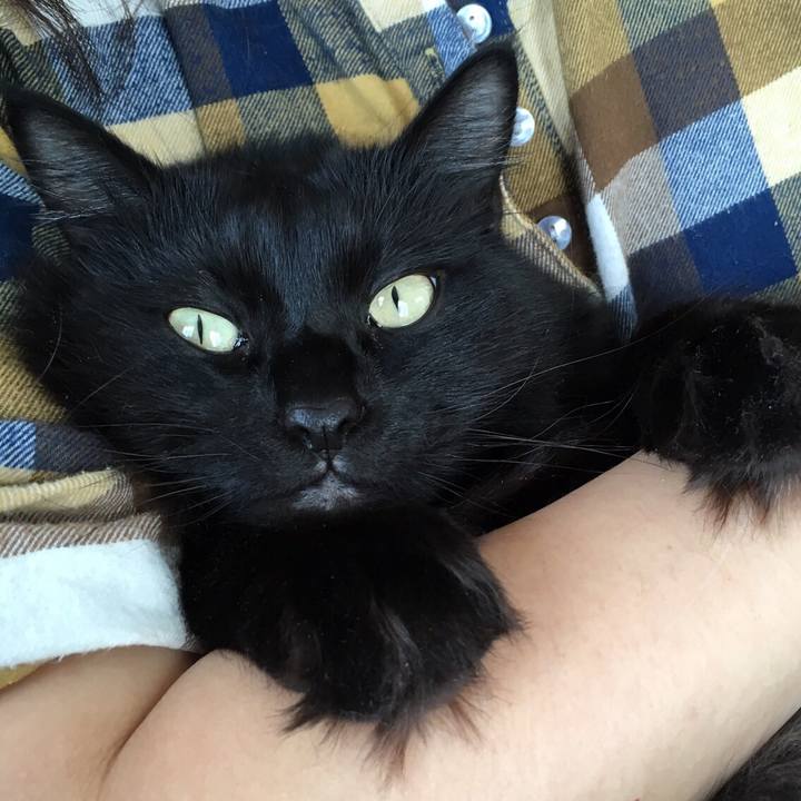 Ff9cd159 9367 4b36 a47f f5d672ed01dd