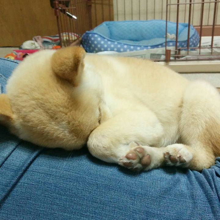 Ff9dd61a 6e37 4cff 91fe 1933bb34ff19