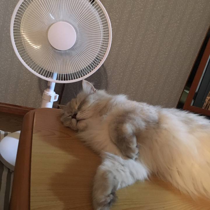 Ff9dd641 db5f 472f abbd d1401ffe39f3