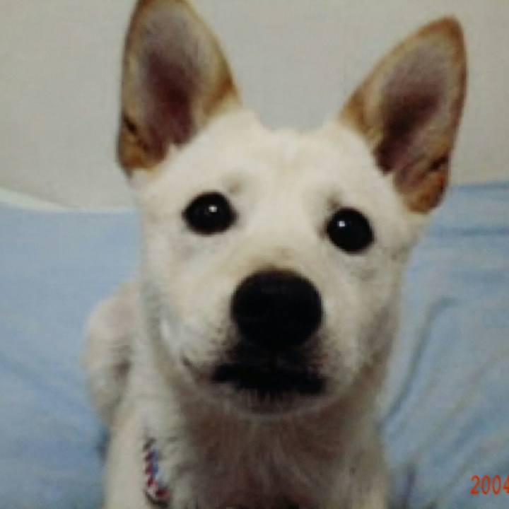 Ff9e2ae8 9ab9 4271 8a1a e9a6218b99db