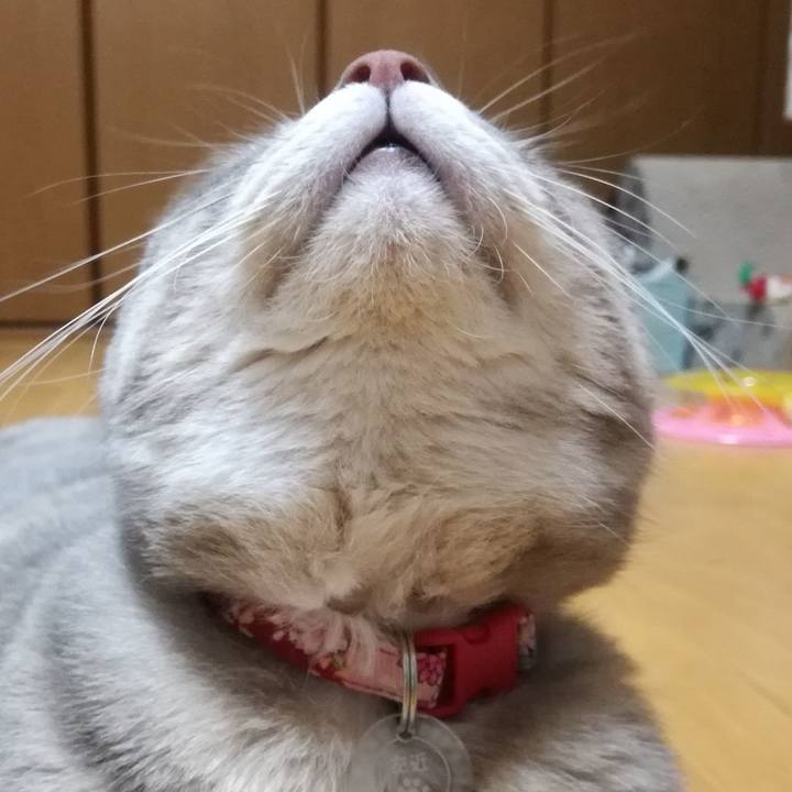 Ff9e59a3 d1b8 46d5 aab8 22790997316f