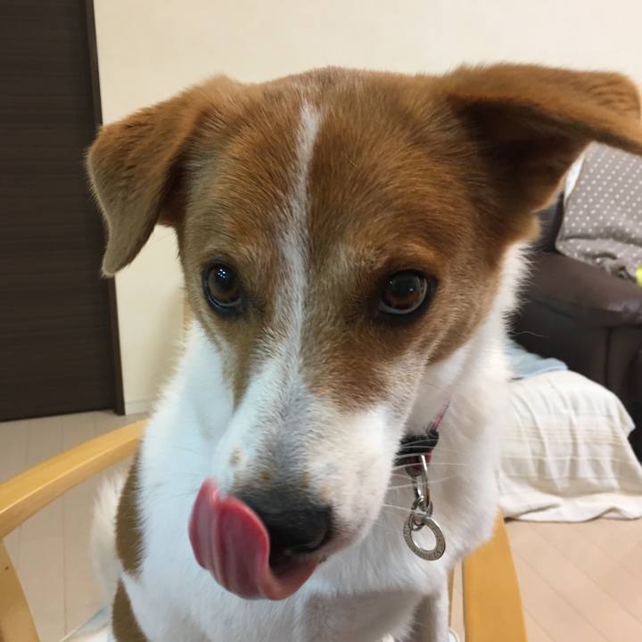 Ff9e6c88 bd24 4888 a595 bd4edfcefbc3