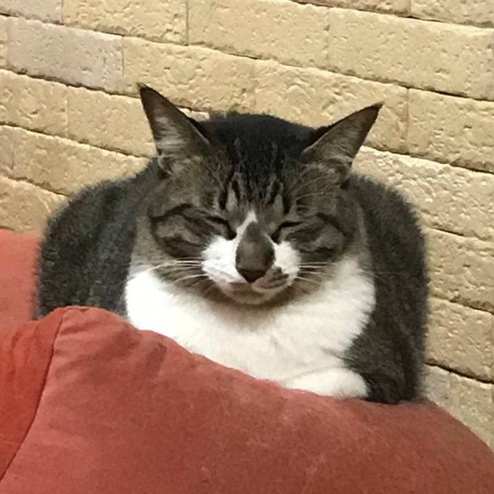 Ff9ebf58 7d6e 4d6f b62e b50e0d49c127