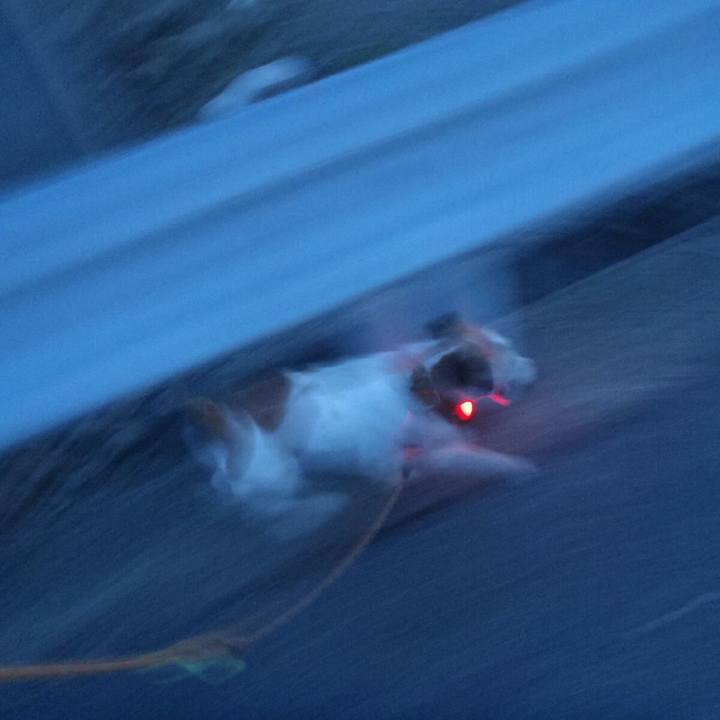 Ffa003dc 2998 4fa2 ba2f 8d1a7e95b1fa