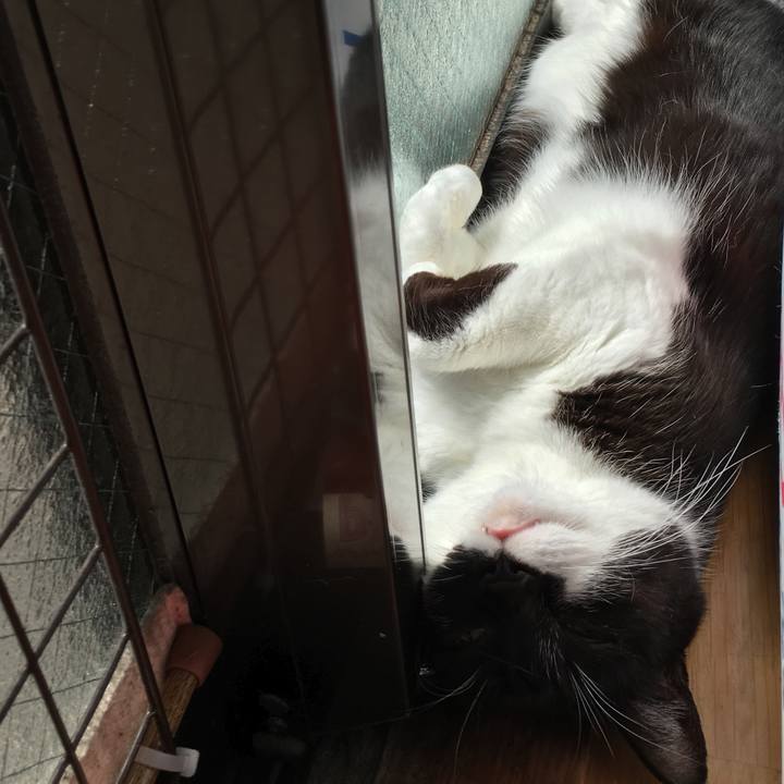 Ffa084b0 84f1 418d 987b 71aab3d3a3ec