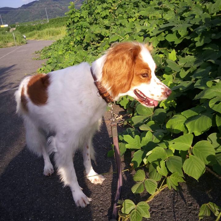 Ffa08d0d f36e 471f 8b4e bd6328198c97