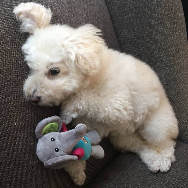 Ffa169ee 0ff3 49f0 8918 c413ebbf916a