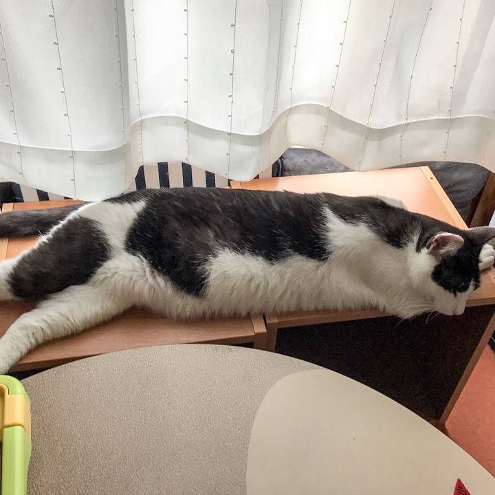 Ffa17c35 94ed 42d7 940b 0808190d4c89