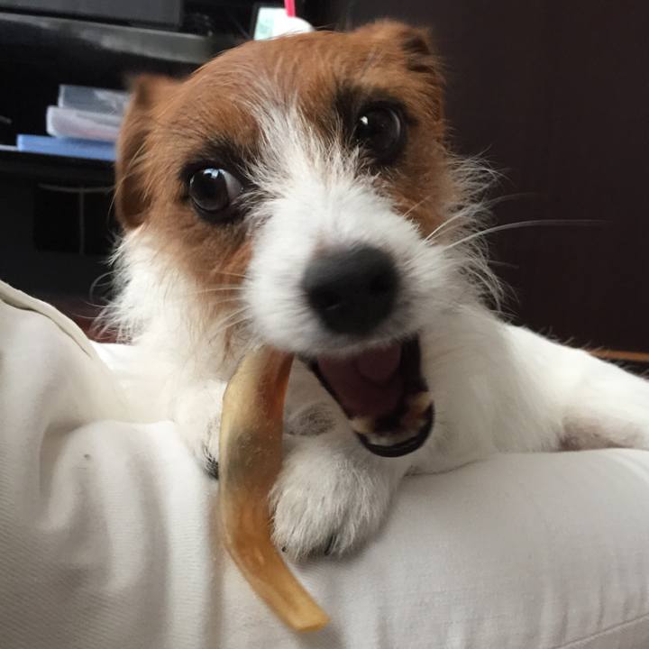 Ffa1851c e411 408b a952 fcd7d171dd67