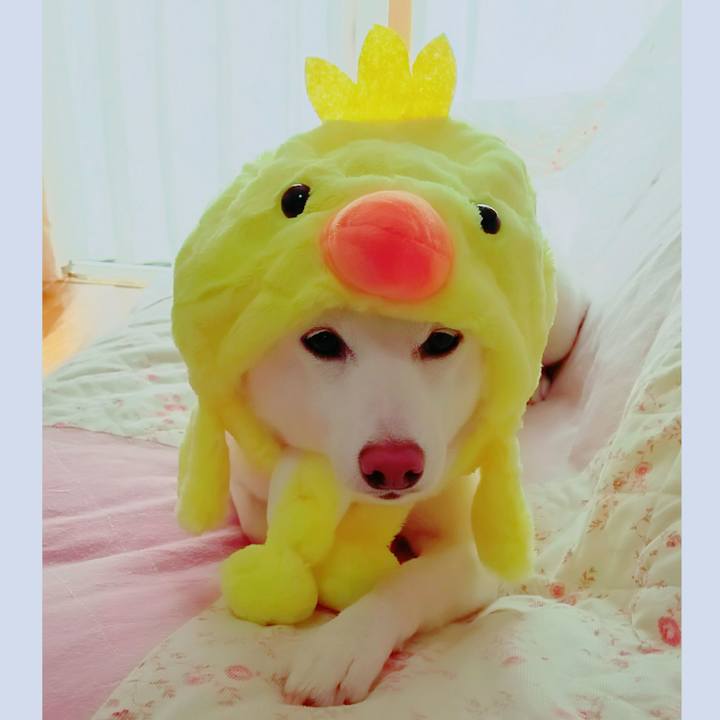 Ffa1aa07 2a88 48d4 8364 6188c07a6cd7