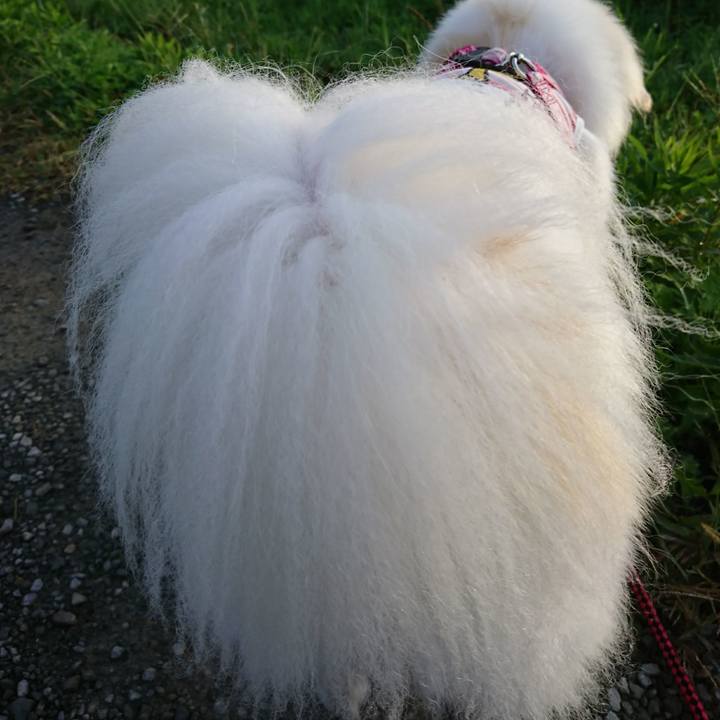 Ffa1b607 0c61 454a 9b56 9d9445b1e344