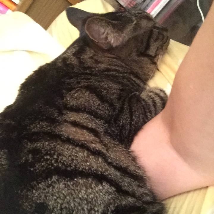 Ffa31648 ade4 4a5f b044 ca0b9b48e8b7