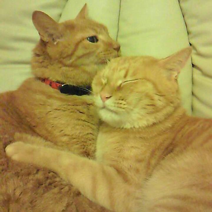 Ffa32a42 7f77 4fd7 be2d c33d9a2241bf