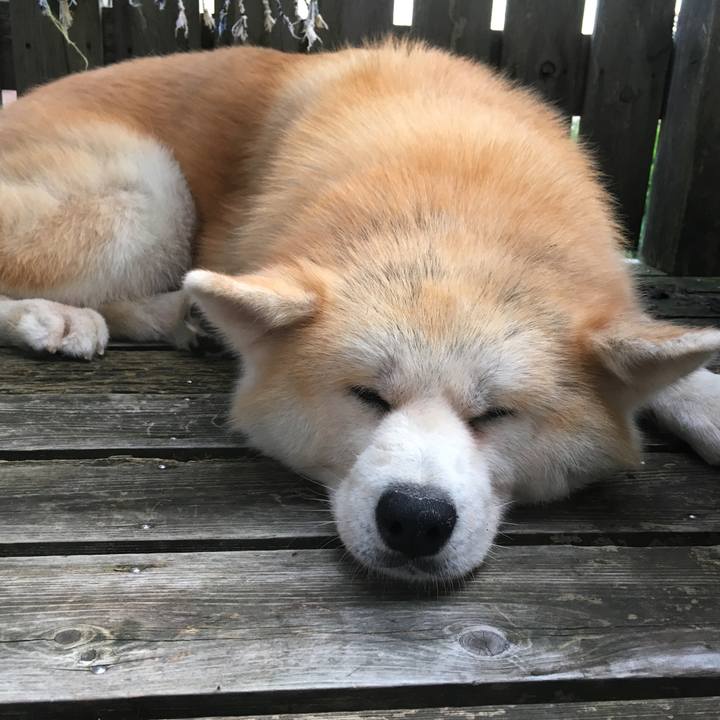 Ffa3dff2 41cc 4dab 94c0 8830ce2e95c7