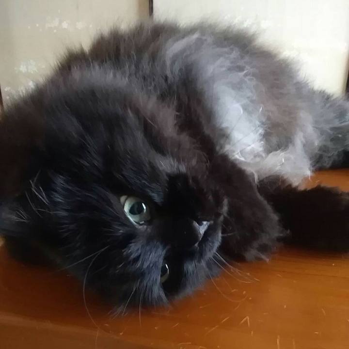 Ffa3f503 b37f 4291 80cf 614d92902a1c