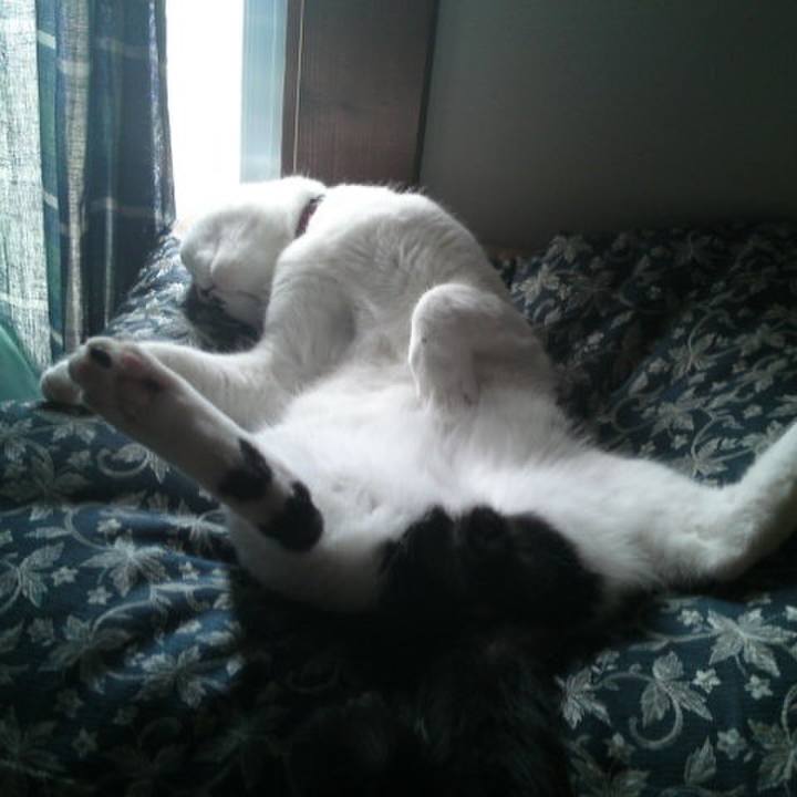 Ffa434bc ea3b 4152 9d89 3acac32960a4