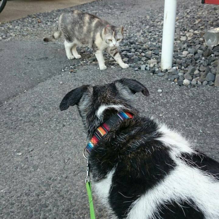 Ffa4361a f8c2 4fb6 bdac a17761f68e48