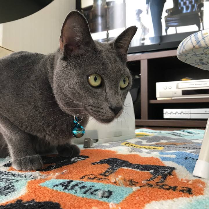 Ffa49d52 946a 4d3a a52e 53df32c4ee29