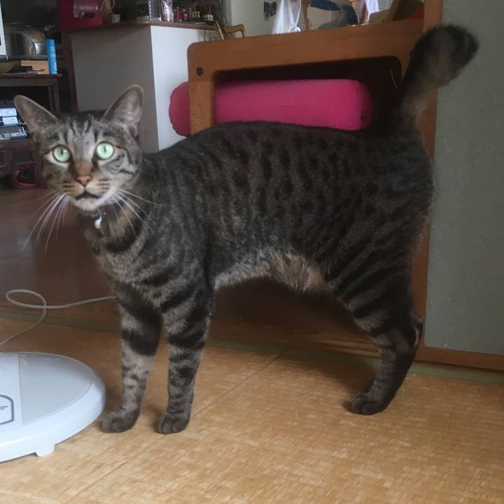 Ffa56eda b51a 483a 9023 9bcf018781b9