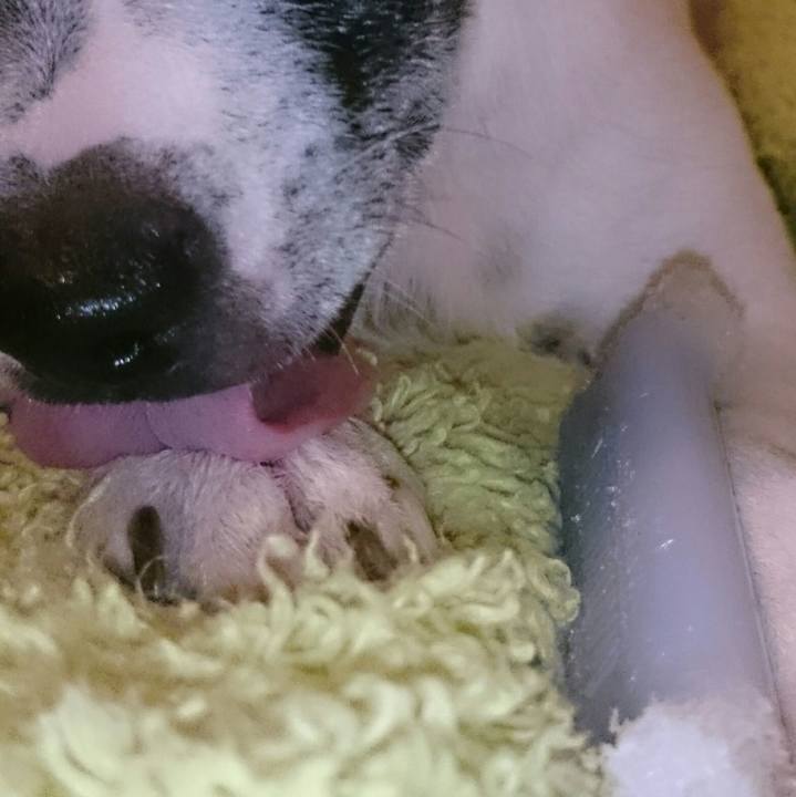 Ffa6daa4 9414 4938 a62f 8666850b3b1c