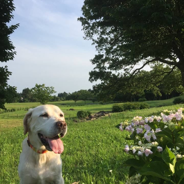 Ffa78553 361e 4077 8068 beb9ccb5368a