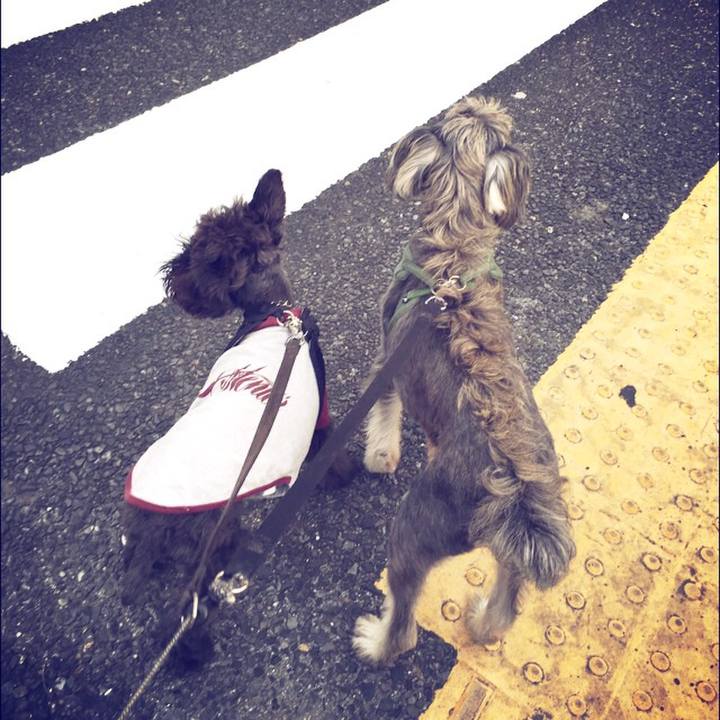 Ffa876a9 c032 4305 b921 e877266b39fb