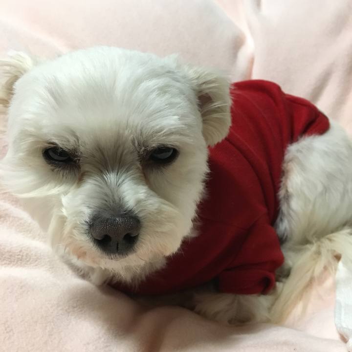 Ffa91c2f 1846 4a35 851f 774eb5a926fc