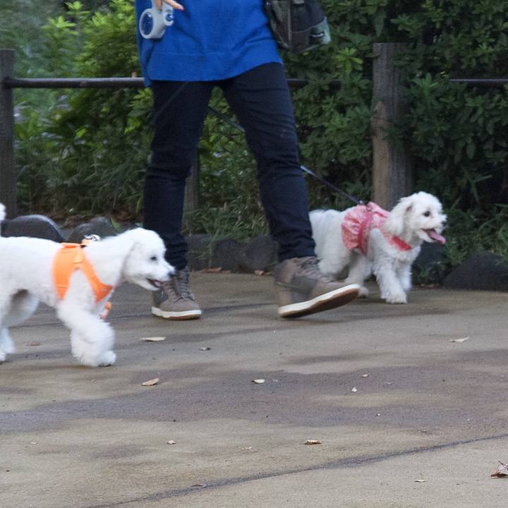 Ffa973d2 e961 4dd7 a766 1df0c5188925