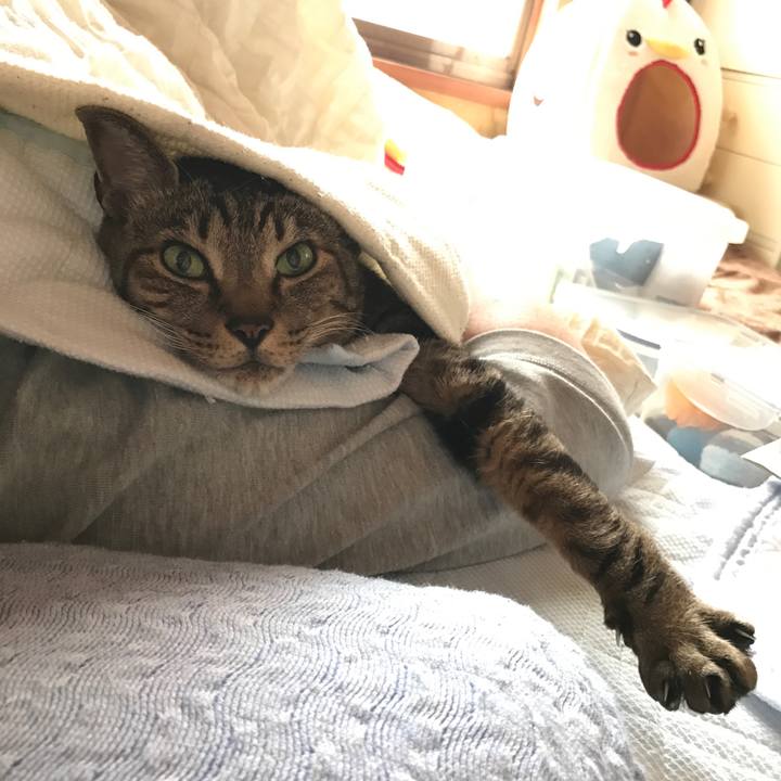 Ffa977ad 65dc 4078 a98d 951ed4b5fa89