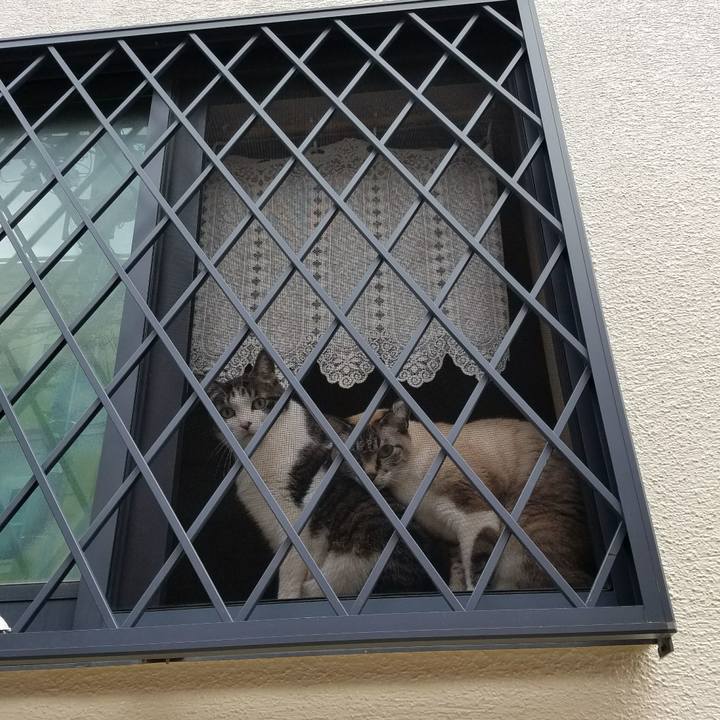 Ffa9ce52 a4df 4e3b bee1 8e3b81a34c84