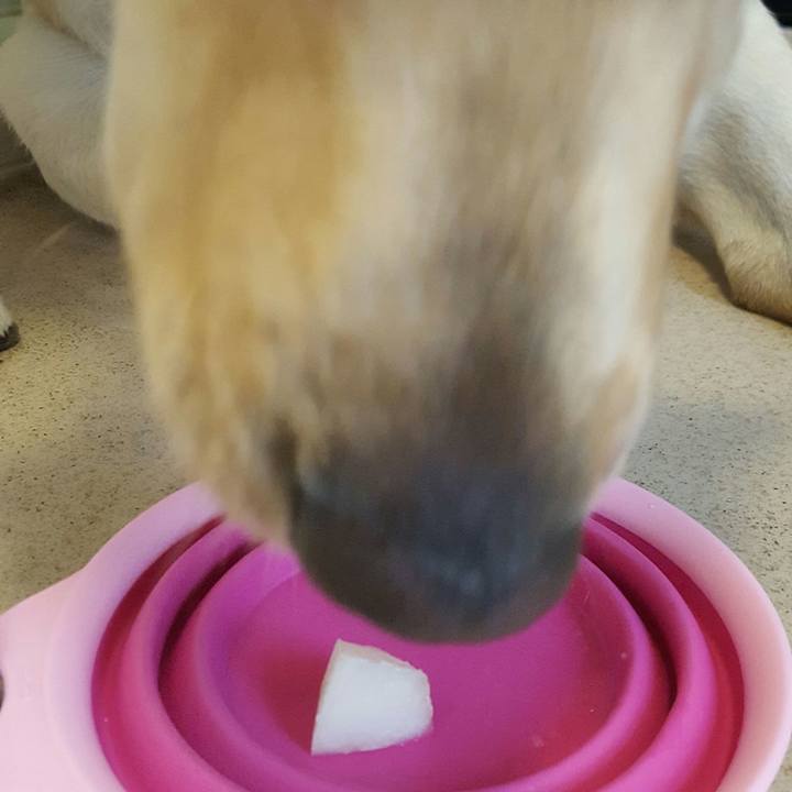 Ffa9d64c a76f 47e5 ae24 c4b9a7834c01