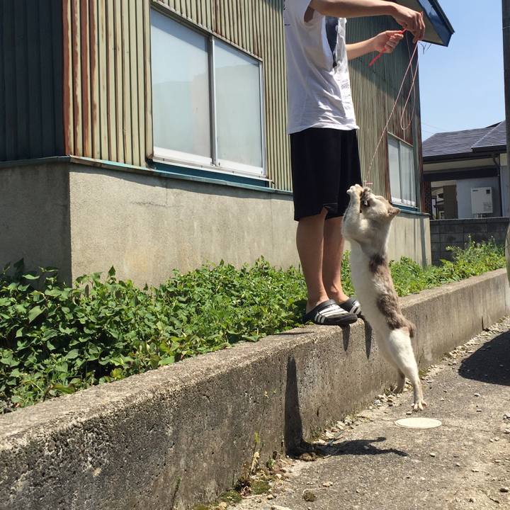 Ffaa3ca8 56d7 4930 ae15 6e6e75f5666a