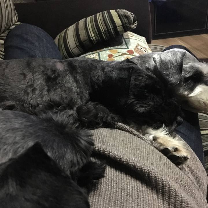 Ffaaa993 9893 463b b99e 8cb6c90f86d6