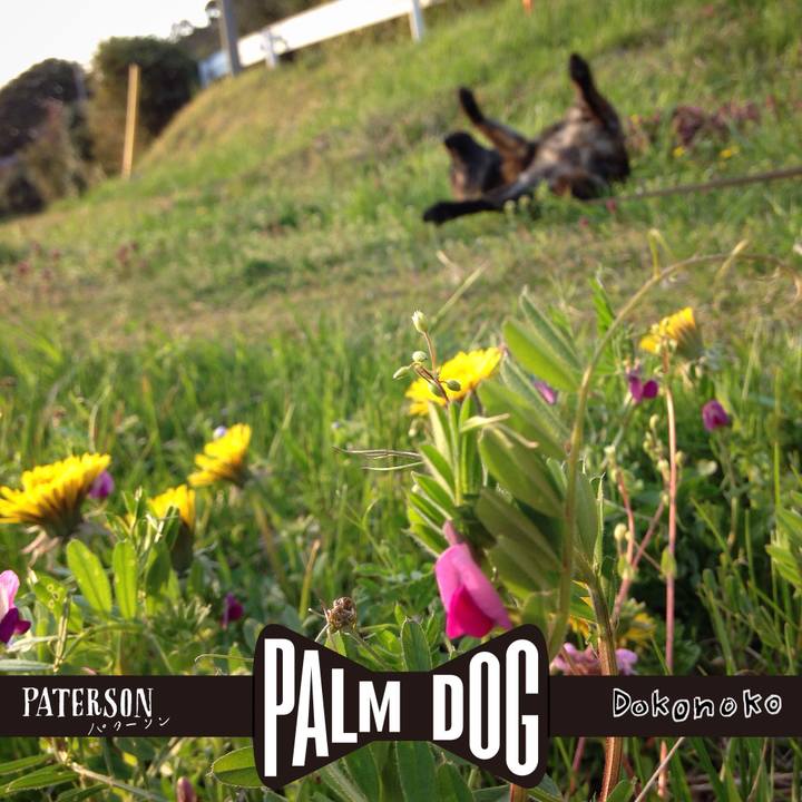 Ffab0159 98c7 4ec6 979d 519d79821506