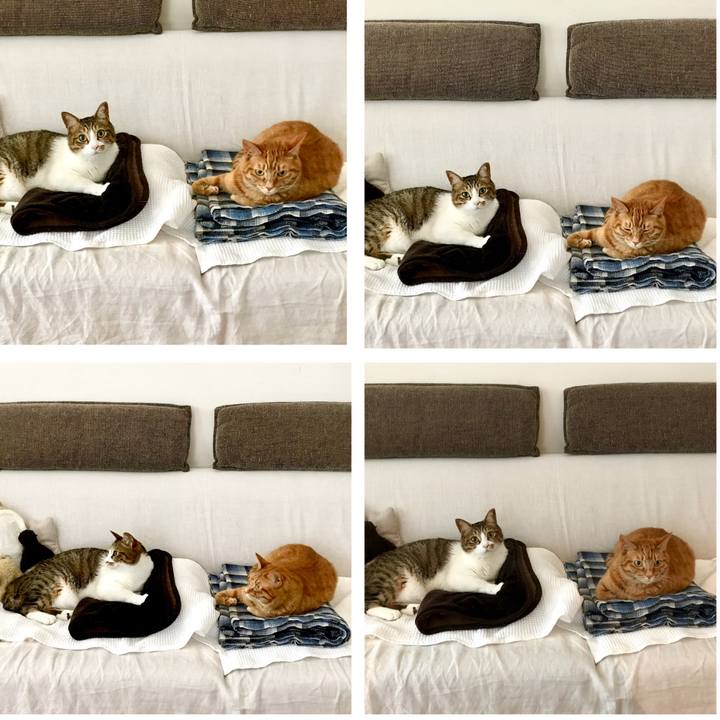 Ffab2178 4ad9 4098 ab7f d1de61810ddc