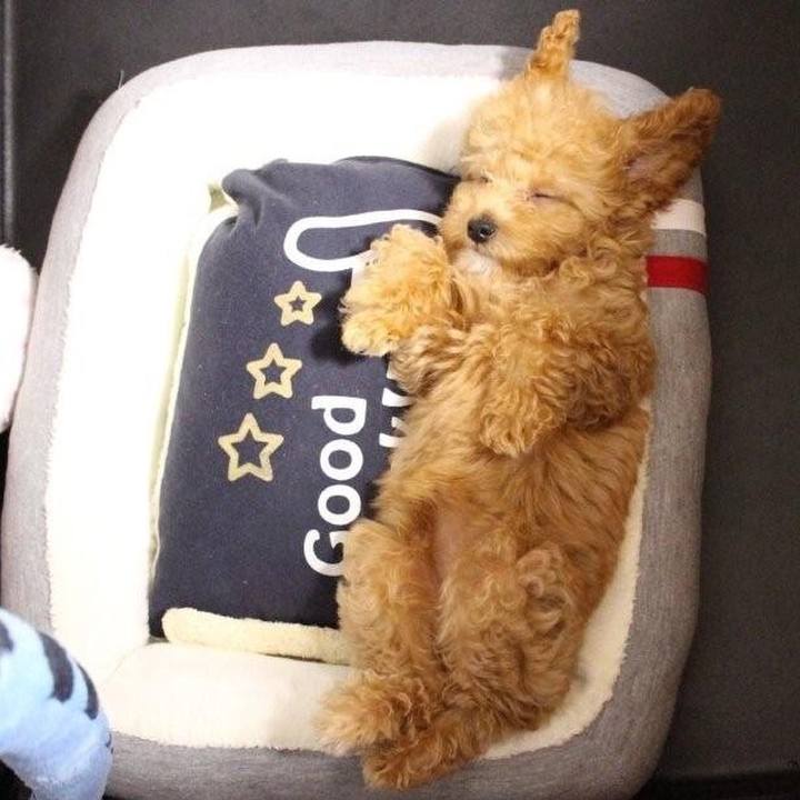 Ffab7678 6546 4e17 9839 a17d46abcd76