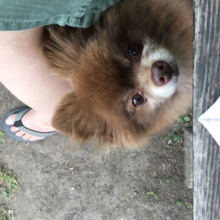 Ffab90f3 cb30 49a4 b0b7 c66c4c852f02