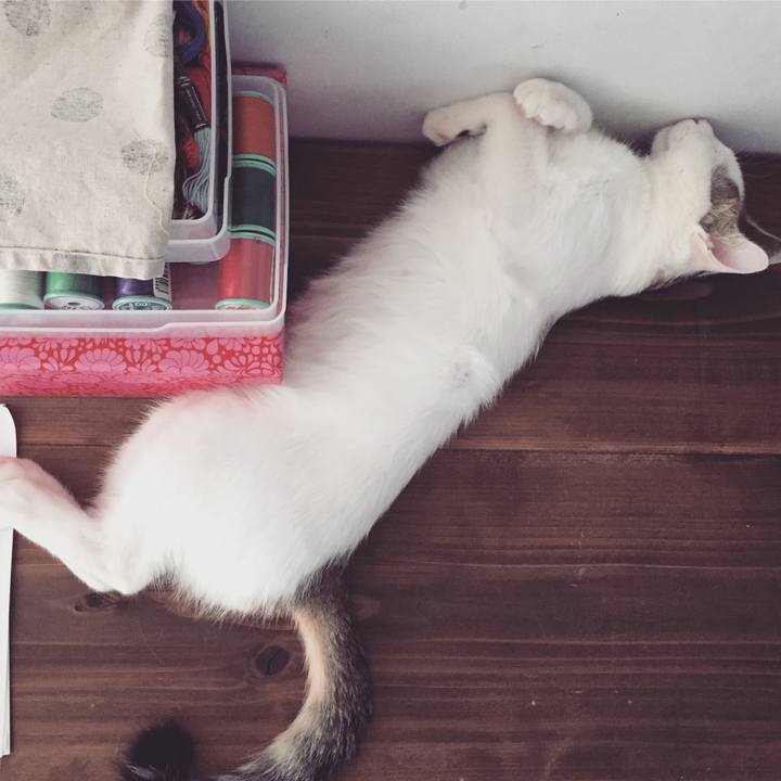 Ffabc078 6565 484b 807b 0d1e5b8ee808