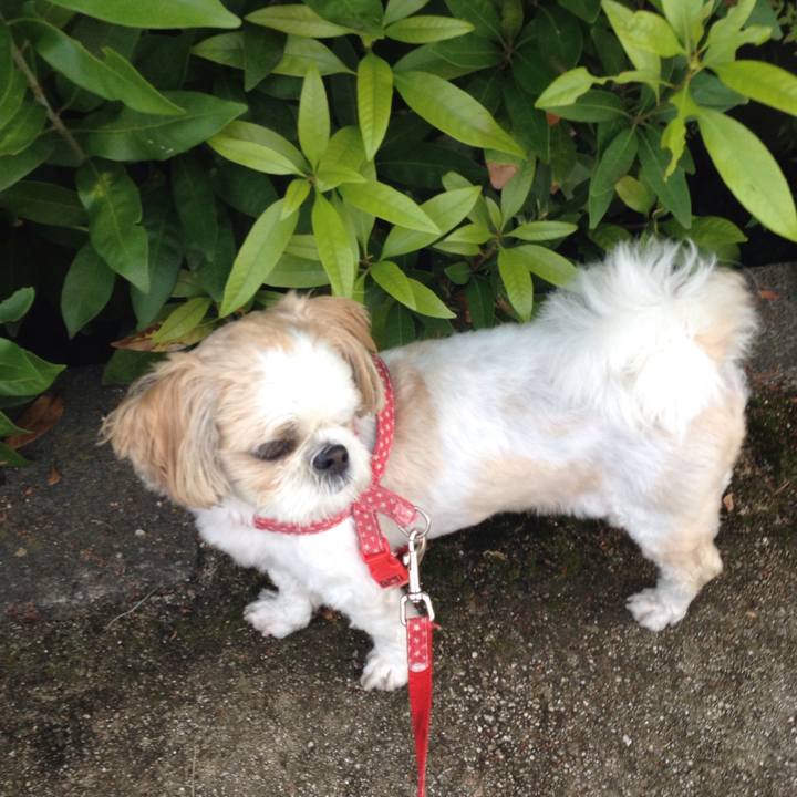 Ffac6e17 33c5 446c b82e fc7d67b29cd1