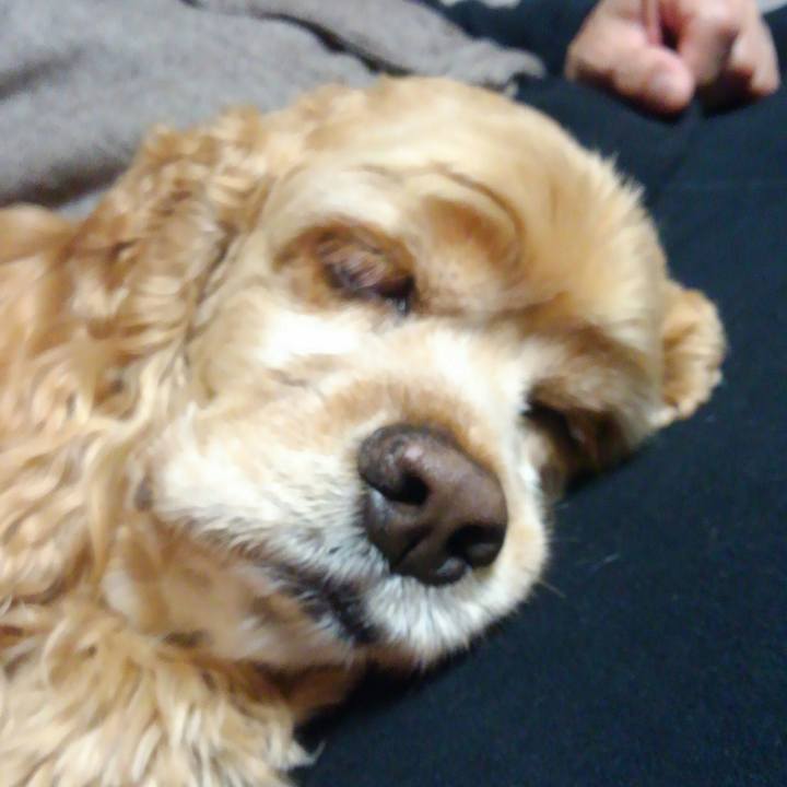 Ffad2476 49c3 43a8 8b42 ec1e00aafa21