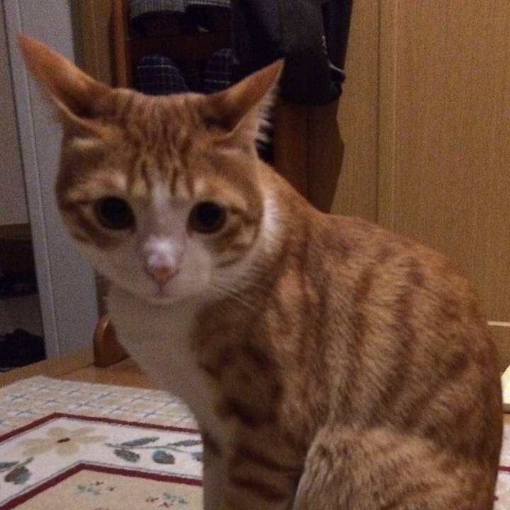 Ffad33f3 f0e3 44c7 ace8 b295c1dcc691