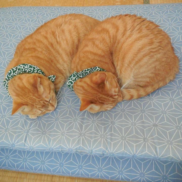 Ffad4e7e 06f2 486d 8f32 bd412855493b