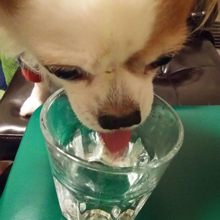 Ffad9804 8fcf 4888 8bab 11a7f7bd003f