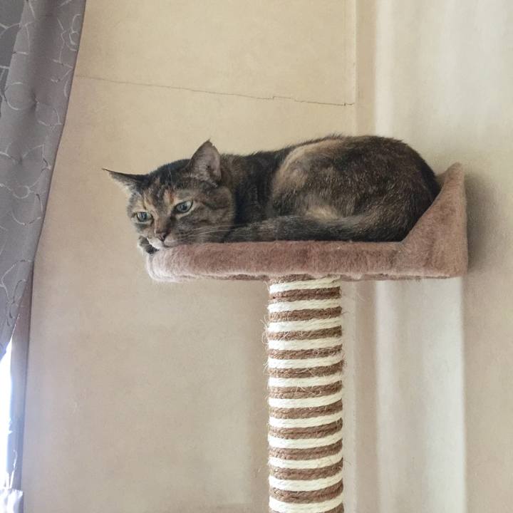 Ffadb245 8099 470d bd57 e165970bc7b8