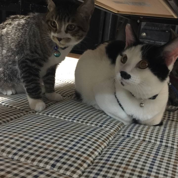 Ffae25e4 96a8 47b0 9ae8 977085192476