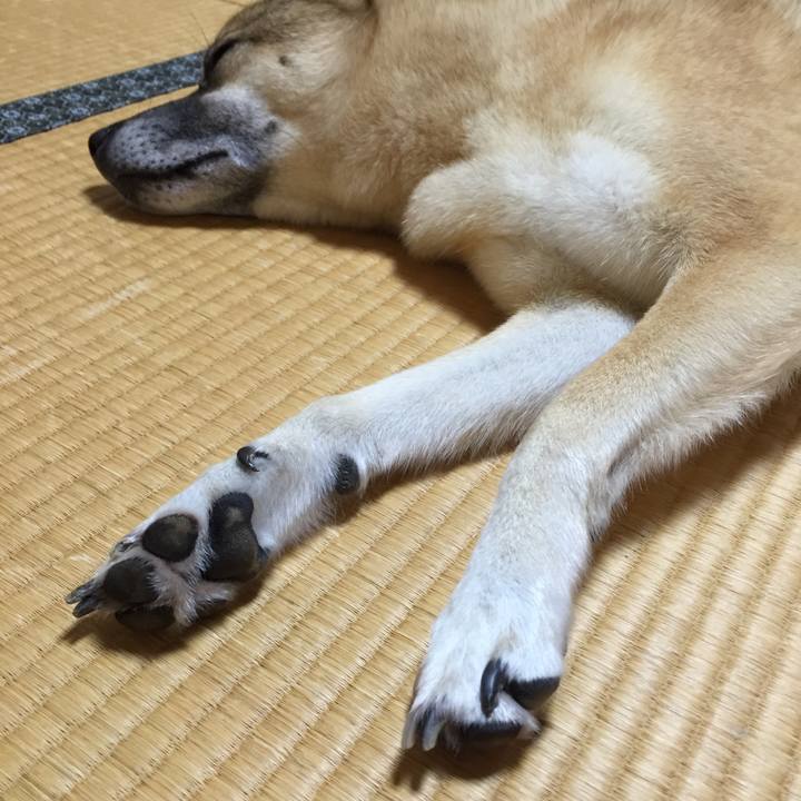 Ffaeafa9 914f 4540 8c4a 3efd737fb621