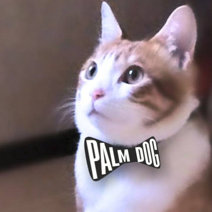 Ffaec01f 9950 47f2 9e13 df082578b9e1