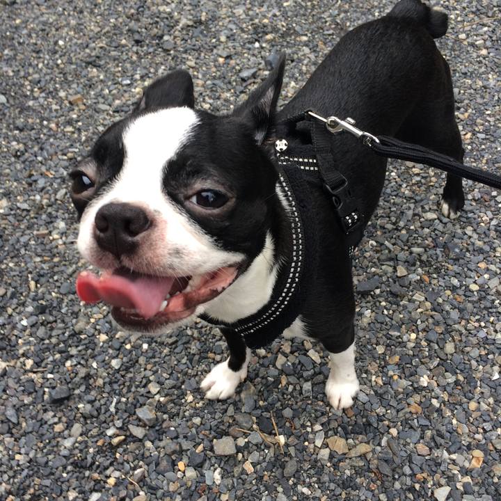 Ffaedf6e ba15 4c5c 8c77 4be68d43d47a