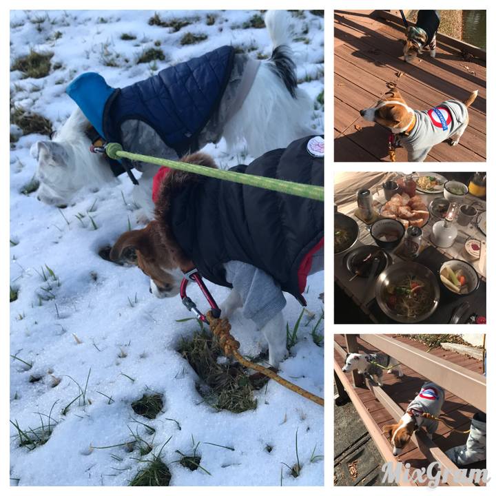 Ffafac65 17db 4164 bcb8 de45aa94e681